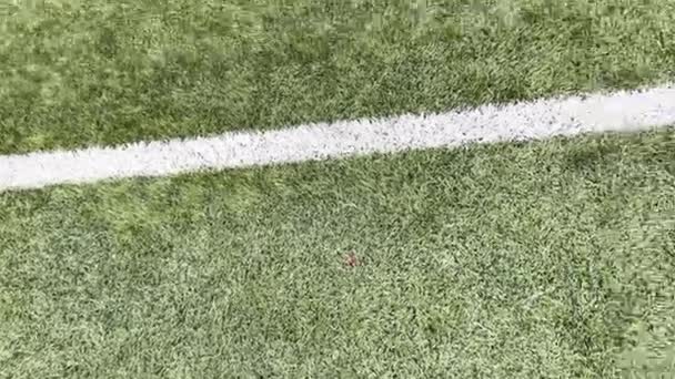 Campo Futebol Grama Sintética Com Linha Branca Imagens Alta Qualidade — Vídeo de Stock