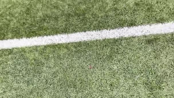 Syntetická Tráva Fotbalové Hřiště Bílou Čárou Vysoce Kvalitní Záběry — Stock video