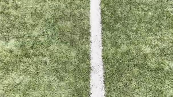 Boisko Piłki Nożnej Trawy Syntetycznej Białą Linią Wysokiej Jakości Materiał — Wideo stockowe