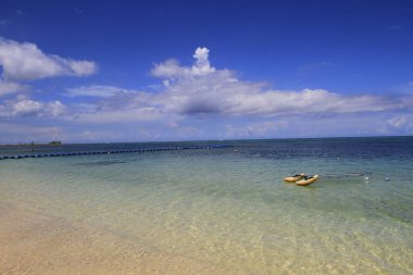 Güneşli bir günde Okinawa Japonya sahillerinde mercan resifleri. Yüksek kalite fotoğraf