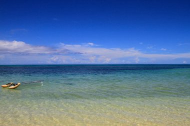 Güneşli bir günde Okinawa Japonya sahillerinde mercan resifleri. Yüksek kalite fotoğraf