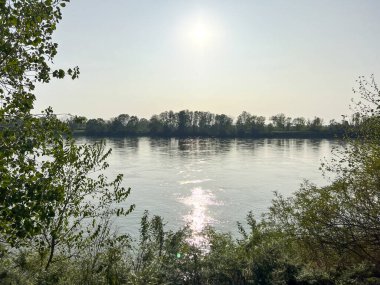 Güneşli bir günde, Cremona 'daki Po nehri bitkilerin arasında. Yüksek kalite fotoğraf