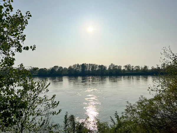 Güneşli bir günde, Cremona 'daki Po nehri bitkilerin arasında. Yüksek kalite fotoğraf