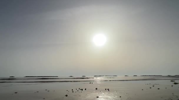 Playa Del Mar Rimini Por Mañana Amanecer Con Marea Baja — Vídeos de Stock