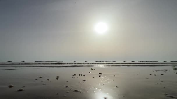 朝のリミニ海浜は 潮の低い夜明けに 高品質の4K映像 — ストック動画