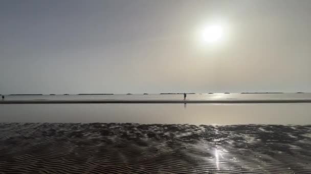Praia Mar Rimini Manhã Amanhecer Com Maré Baixa Imagens Alta — Vídeo de Stock