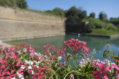 moat around the walls of Peschiera del Garda on a sunny day. High quality photo clipart