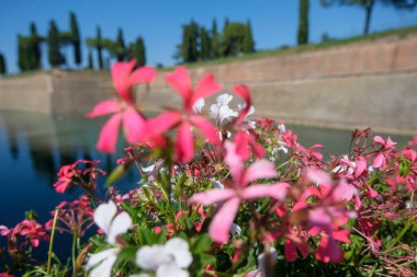 Güneşli bir günde Peschiera del Garda 'nın duvarlarında hendek. Yüksek kalite fotoğraf