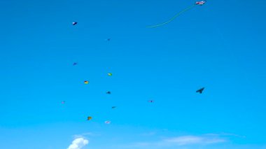 Cervia, ITaly: 04 21 2024 Festival Degli Acquiloni gökyüzünde binlerce renkli uçurtmanın olduğu sahilde bedava bir uçurtma etkinliği. Yüksek kalite 4k görüntü