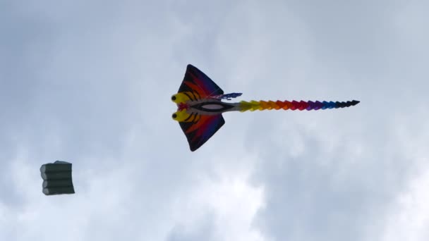 意大利塞维利亚 2024年元宵节免费放风筝 在海滩上放飞了数千只彩色风筝 高质量的4K镜头 — 图库视频影像