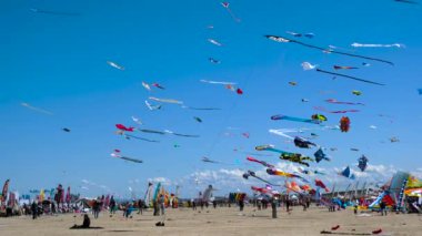 Cervia, ITaly: 04 21 2024 Festival Degli Acquiloni gökyüzünde binlerce renkli uçurtmanın olduğu sahilde bedava bir uçurtma etkinliği. Yüksek kalite 4k görüntü