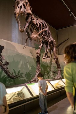 Bir müzede, genç bir çocuk bir dinozorun iskeleti karşısında büyülenmiş, gözleri merak ve merakla doluydu.