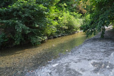 Nehir kıvrımlarında bitki örtüsü ve çakıl taşı plajı var. Yüksek kalite fotoğraf