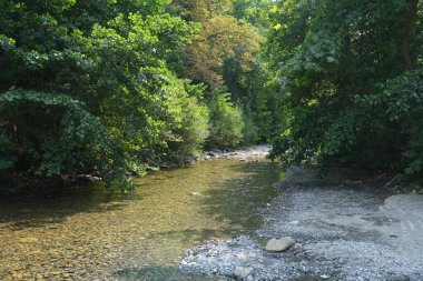 Nehir kıvrımlarında bitki örtüsü ve çakıl taşı plajı var. Yüksek kalite fotoğraf