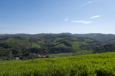 green hills in spring of the Italian Tuscan-Emilian Apennines. High quality photo clipart