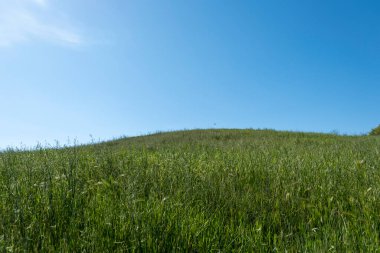 İtalyan Toskana-Emilian Apeninlerinin ilkbaharında yeşil tepeler. Yüksek kalite fotoğraf