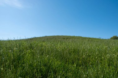 İtalyan Toskana-Emilian Apeninlerinin ilkbaharında yeşil tepeler. Yüksek kalite fotoğraf