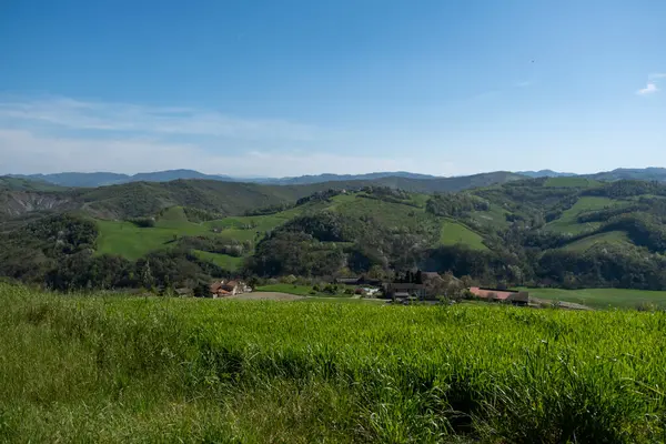 stock image green hills in spring of the Italian Tuscan-Emilian Apennines. High quality photo