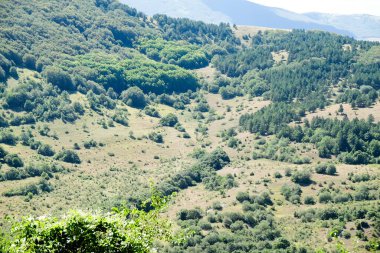 Tepenin yamacında, ağaçlar ve otlar büyür, uzak dağlar tarafından çerçevelenir. Sahnede gökyüzü, bulutlar ve karasal bitkilerin doğal manzarası Abruzzo Ulusal Parkı yer alıyor.