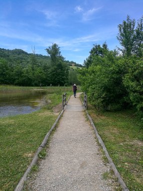 Ortasında çimen ve ağaçlarla çevrili, bulutlu bir gökyüzünün altında jeolojik bir fenomen ile doğal bir manzara yaratan toprak bir yol.