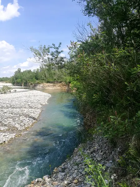 Parlak, güneşli bir günde, yeşil bir ormanın içinden geçen güzel bir nehir huzurlu ve pitoresk bir doğal manzara yaratıyor.