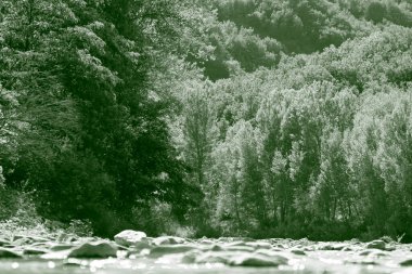 Arkaplanda kayaların ve ağaçların arasından akan bir nehrin yer aldığı, doğal güzellik ve sükuneti gözler önüne seren, siyah ve beyaz bir görüntü.