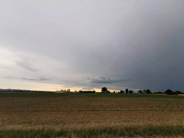 Ufuk çizgisi olan bulutlu bir gökyüzünün altında geniş bir tarlaya ev sahipliği yapan huzurlu doğal bir manzara. Sahnede çimenler, ağaçlar ve kümülüs bulutları yer alıyor.