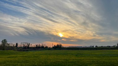 Güneş zarif bir şekilde arka planda uzun ağaçlarla dolu sakin çimenli bir arazide batıyor. Doğanın huzurlu ve resimsel bir manzarasını yaratıyor.