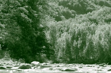 Arkaplanda kayaların ve ağaçların arasından akan bir nehrin yer aldığı, doğal güzellik ve sükuneti gözler önüne seren, siyah ve beyaz bir görüntü.