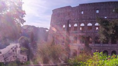 Roma 'daki ikonik Colosseum' un bereketli ağaçlar tarafından çerçevelenmiş huzurlu bir manzarası. Bu sahne tarihin ve doğanın uyumunu kutluyor, takdiri davet ediyor.