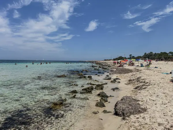 Güneşli bir günde San Vito lo Capo 'daki sahil ve deniz taşları. Yüksek kalite fotoğraf