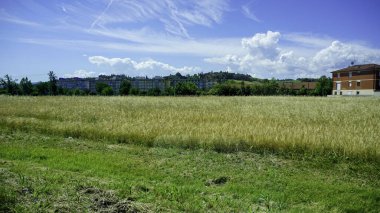 A tranquil river flows through a lush grassy field, bordered by a single house in the distance under a cloudy sky, depicting a serene natural landscape clipart