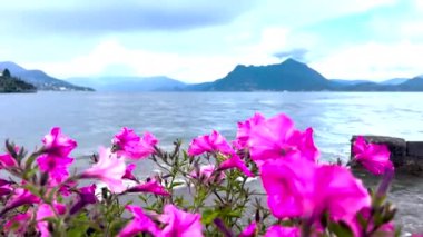 İtalya 'daki Maggiore Gölü' nün panoramik manzarası Stresa 'dan kalkan bir tekneden görülüyor. Yüksek kalite 4k görüntü