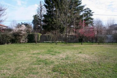 Arka planda bulunan ağaçlarla güzelce süslenmiş çok geniş çimenli bir alan, sakin bir doğal ortam yaratıyor.