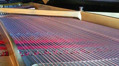 Piyano telleri, açık kuyruklu. Yüksek kalite fotoğraf