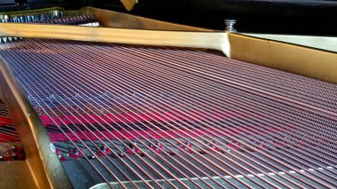 Piyano telleri, açık kuyruklu. Yüksek kalite fotoğraf