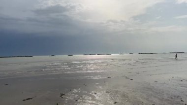 Adriyatik sahilinin Rimini sahili. Yüksek kalite 4k görüntü