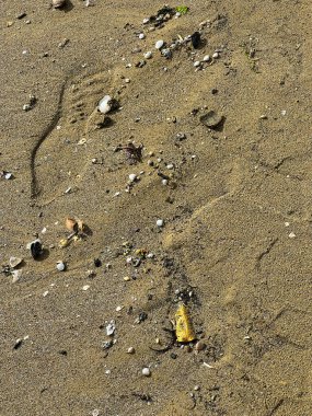 Bu, kumlu bir yüzeyin yakından çekilmiş görüntüsü. Üzerinde çeşitli ayak izleri var. İlginç desenler sergiliyor.