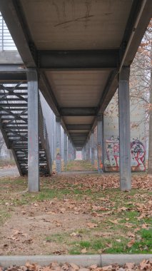 Altında bir dizi merdiven bulunan bir köprü var. Yapraklar ise bölgenin etrafına saçılmış durumda.