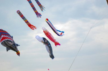 Bir grup renkli uçurtma zarif bir şekilde üzerimizdeki güzel mavi gökyüzünde uçuyor, ince bulutlarla dans ediyorlar.