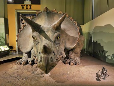 Görkemli bir triceratops büyük bir tabelanın önünde sergileniyor. Gururla 