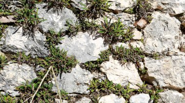 Görüntü, taşların çeşitli şekil ve boyutlarında kaba bir taş yüzeyi yakalıyor ve engebeli ve düzensiz bir doku oluşturuyor. Yüksek kalite fotoğraf