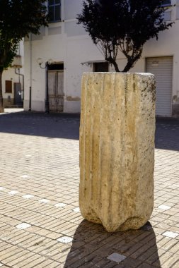 Bir ağaç gövdesinin kabataslak dokusunu, düğümlerini ve tek renkli doğal desenlerini gösteren yakın çekim. Yüksek kalite fotoğraf