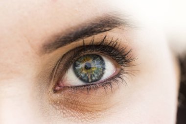 Gözün son derece yakın plan detayları, yeşil bir iris, karmaşık desenler ve insan gözünün dokuları keskin bir odak noktasında. Yüksek kalite fotoğraf