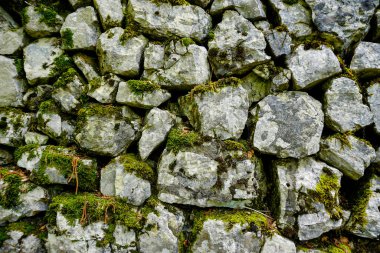 Yüzeyinde yosunların büyüdüğü, doğal dokuyu ve toprak rengini gösteren taştan bir duvarın yakından görüntüsü. Yüksek kalite fotoğraf