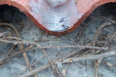 Açıkta kalan kökleri gösteren, çürümenin doğal sürecini gösteren ve yeryüzüne geri dönen bir ağaç kütüğünün yakın çekimi. Yüksek kalite fotoğraf