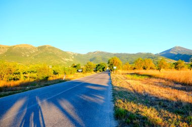 İtalya, Abruzzo 'da güneşli bir alan. Toprak bir yol boyunca yabani ayçiçekleriyle dolu. İtalyan kırsalının doğal güzelliklerini yansıtıyor. Yüksek kalite fotoğraf