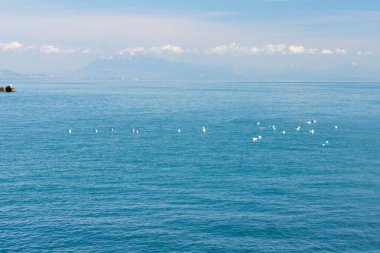 Amalfi Sahili 'nden sakin bir okyanus manzarası, sakin mavi suları, uzak kuşları ve soluk dağları, huzurlu kıyı manzarasını yakalıyor. Yüksek kalite fotoğraf