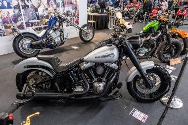 Modea, İtalya: 2025 03 Motor Festivali Fuarı Motosikleti. Aralarında gümüş renkli Softail Slim ve mavi bir helikopterin de bulunduğu Harley-Davidson motorsikletleri kapalı bir motosiklet etkinliğinde sergilenmektedir. 
