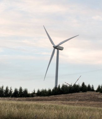 Tek bir modern rüzgar türbini, temiz enerjiyi temsil eden yumuşak ve bulutlu bir gökyüzünün altında, daima yeşil ağaçların olduğu bir alanda dimdik duruyor. Yüksek kalite fotoğraf